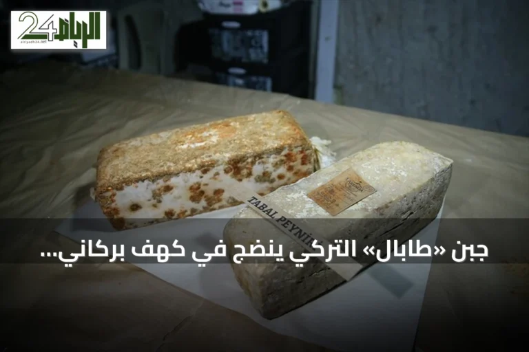 جبن «طابال» التركي ينضج في كهف بركاني بعمق 14 متراً في نيغدة