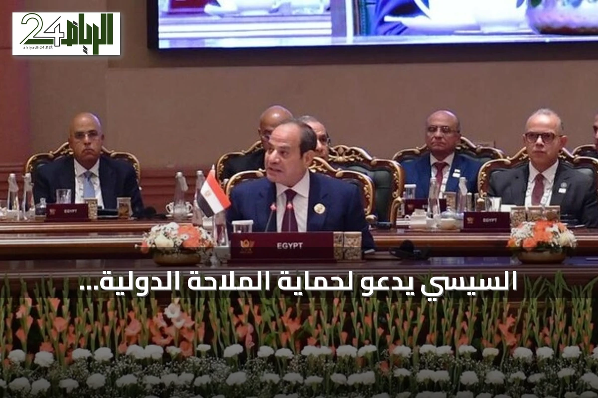 السيسي يدعو لحماية الملاحة الدولية ويستعرض توترات المنطقة خلال قمة البريكس نيودلهي
