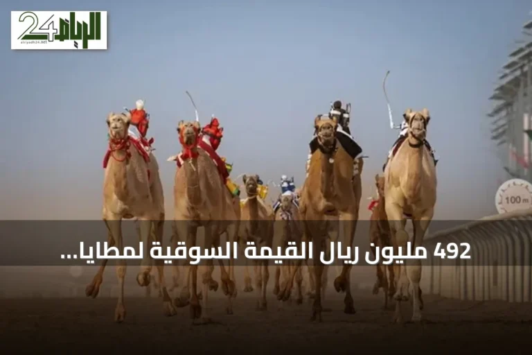 492 مليون ريال القيمة السوقية لمطايا أشواط الحسم بمهرجان ولي العهد للهجن