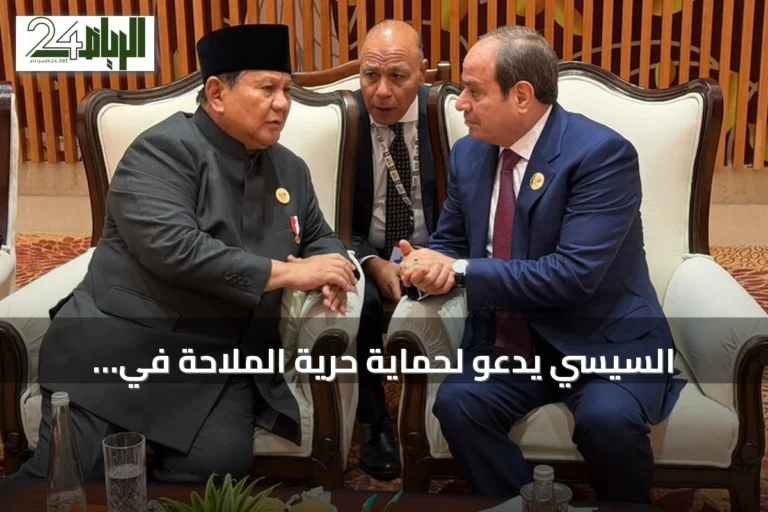 السيسي يدعو لحماية حرية الملاحة في الممرات البحرية خلال قمة بريكس