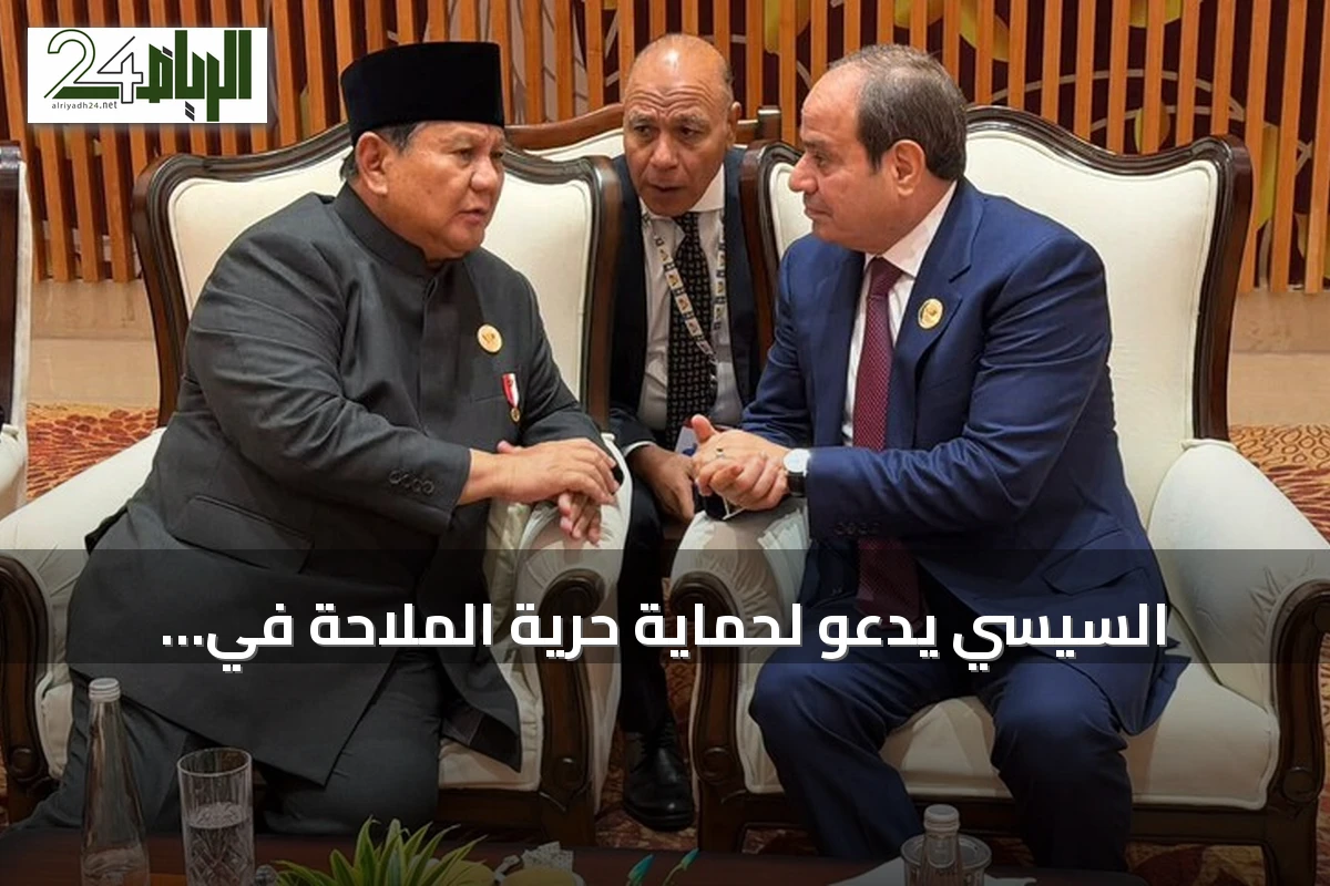 السيسي يدعو لحماية حرية الملاحة في الممرات البحرية خلال قمة بريكس