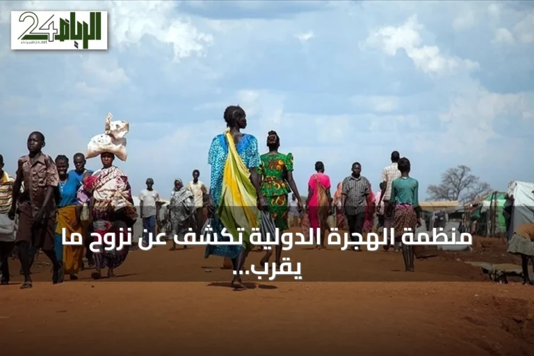 منظمة الهجرة الدولية تكشف عن نزوح ما يقرب من 100 ألف شخص بولاية النيل الأزرق