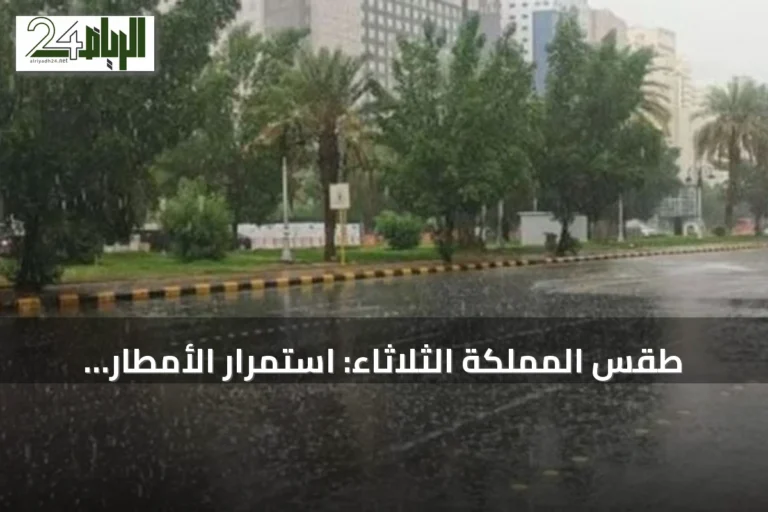 طقس المملكة الثلاثاء: استمرار الأمطار الرعدية مع البرد ورياح مثيرة للغبار على عدة مناطق