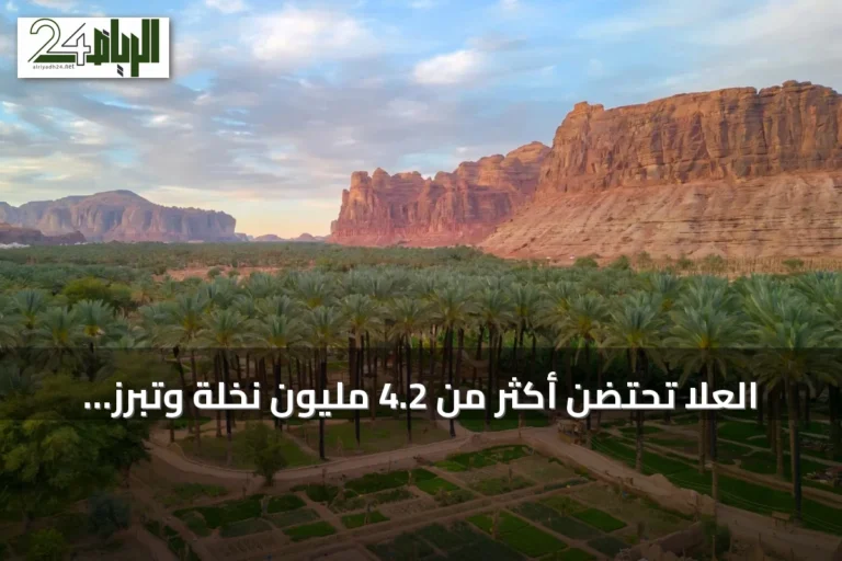 العلا تحتضن أكثر من 4.2 مليون نخلة وتبرز دور يوم النخيل العربي