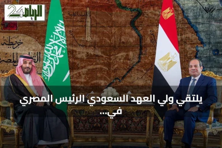 يلتقي ولي العهد السعودي الرئيس المصري في القاهرة لعقد مباحثات ثنائية وموسعة