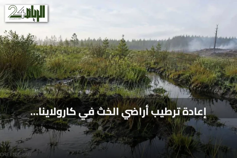 إعادة ترطيب أراضي الخث في كارولاينا الشمالية لمكافحة الحرائق والانبعاثات