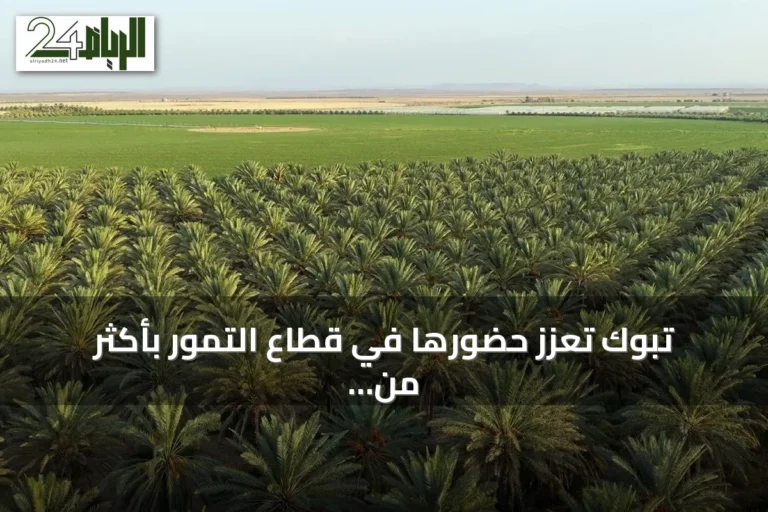 تبوك تعزز حضورها في قطاع التمور بأكثر من 1.17 مليون نخلة