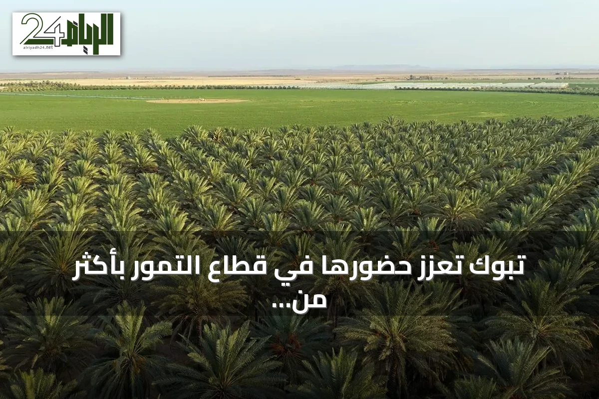 تبوك تعزز حضورها في قطاع التمور بأكثر من 1.17 مليون نخلة