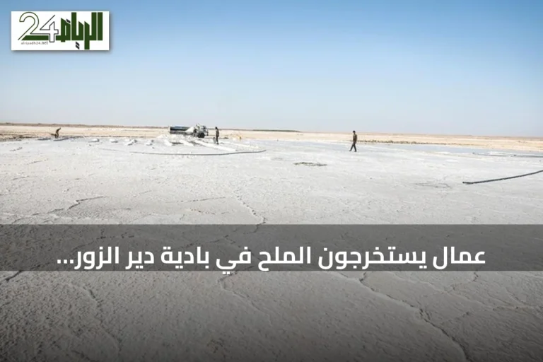عمال يستخرجون الملح في بادية دير الزور تحت حرارة شديدة