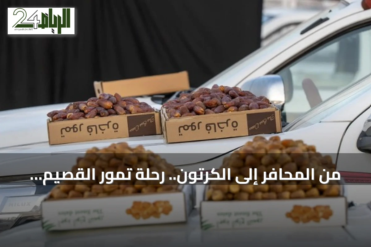 من المحافر إلى الكرتون.. رحلة تمور القصيم نحو التحديث