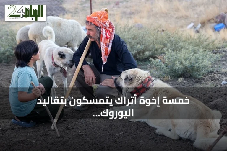 خمسة إخوة أتراك يتمسكون بتقاليد اليوروك في مراعي أفيون قرا حصار