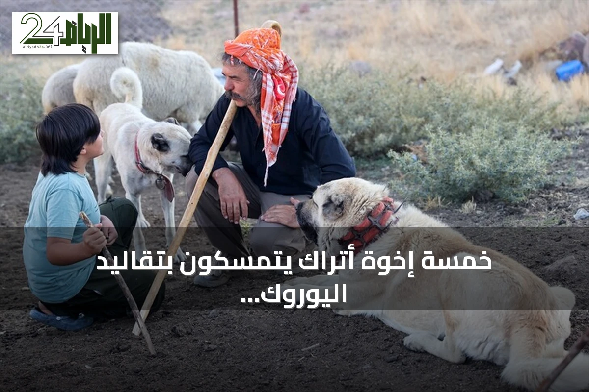 خمسة إخوة أتراك يتمسكون بتقاليد اليوروك في مراعي أفيون قرا حصار