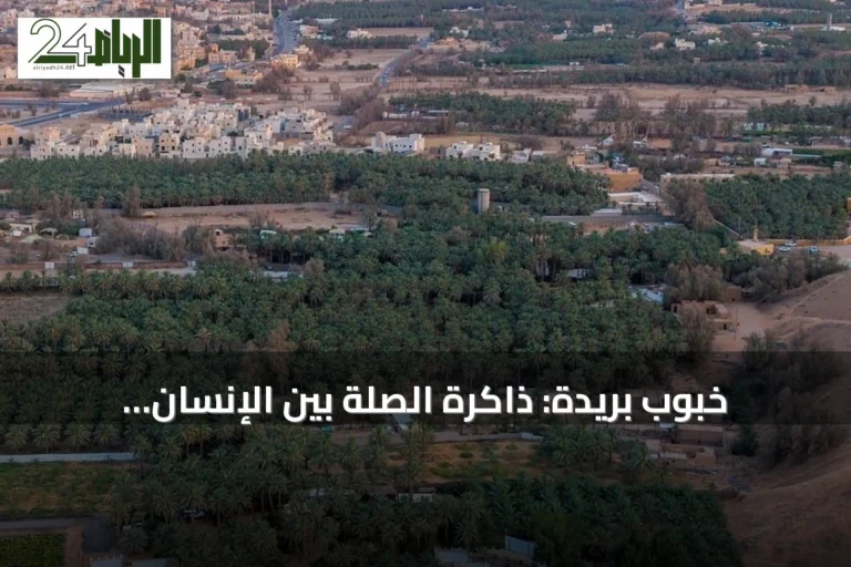 خبوب بريدة: ذاكرة الصلة بين الإنسان والأرض في القصيم