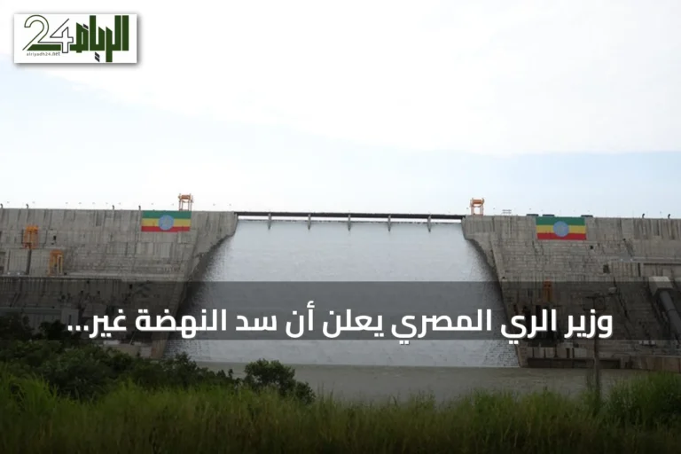 وزير الري المصري يعلن أن سد النهضة غير شرعي ويؤكد حق القاهرة في اتخاذ الإجراءات اللازمة