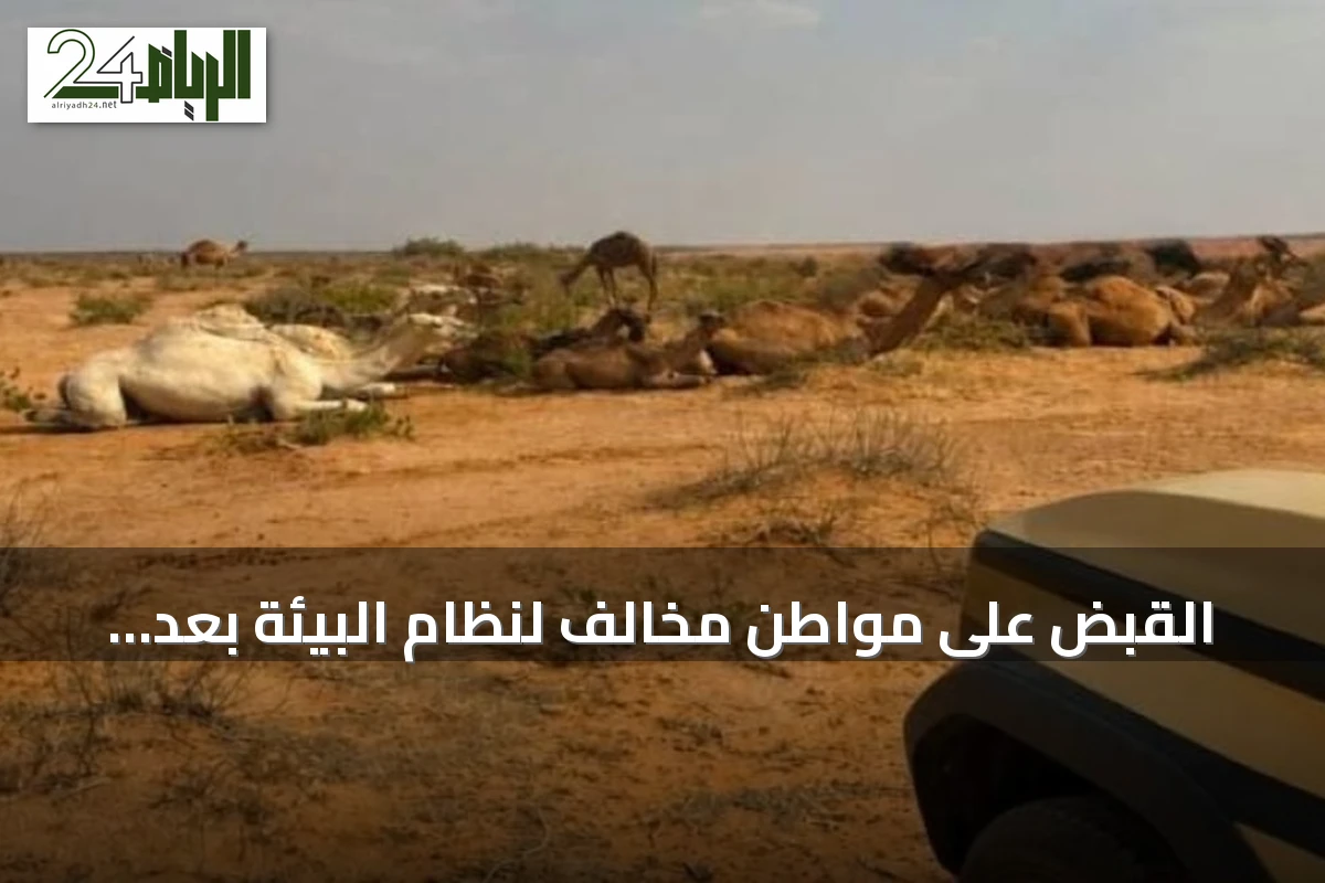 القبض على مواطن مخالف لنظام البيئة بعد رعي إبل في محمية الإمام عبدالعزيز بن محمد الملكية