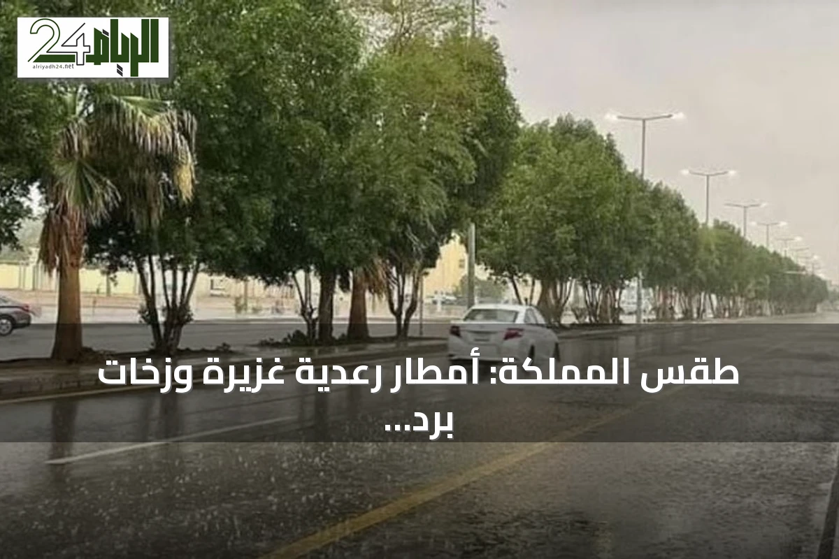 طقس المملكة: أمطار رعدية غزيرة وزخات برد على جنوب وغرب البلاد