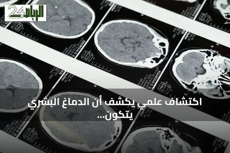 اكتشاف علمي يكشف أن الدماغ البشري يتكون من نظامين خلويين منفصلين