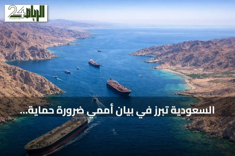 السعودية تبرز في بيان أممي ضرورة حماية البحارة بمضيق هرمز