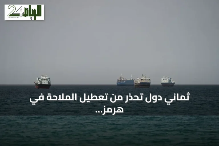 ثماني دول تحذر من تعطيل الملاحة في هرمز وباب المندب وتدعو لتوحيد المواقف
