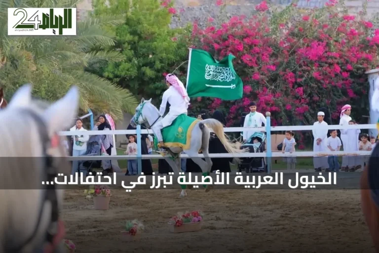 الخيول العربية الأصيلة تبرز في احتفالات اليوم الوطني بمحافظة العقيق