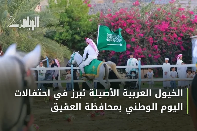 الخيول العربية الأصيلة تبرز في احتفالات اليوم الوطني بمحافظة العقيق
