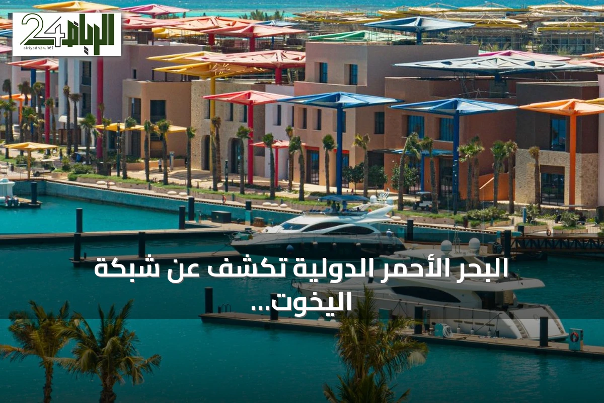البحر الأحمر الدولية تكشف عن شبكة اليخوت لتشغيل المراسي ونوادي اليخوت على الساحل