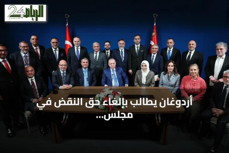 أردوغان يطالب بإلغاء حق النقض في مجلس الأمن وتوسيع مشاركة جميع الدول