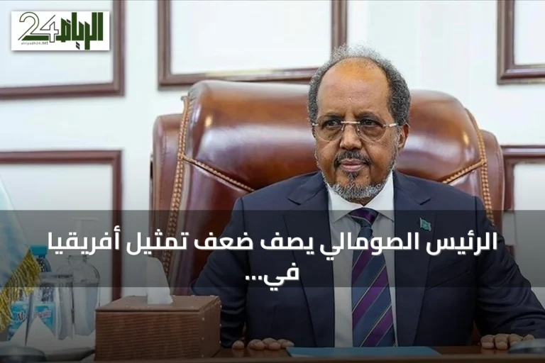 الرئيس الصومالي يصف ضعف تمثيل أفريقيا في مجلس الأمن بـ«الظلم التاريخي» ويدعو لإصلاح المؤسسة الأممية