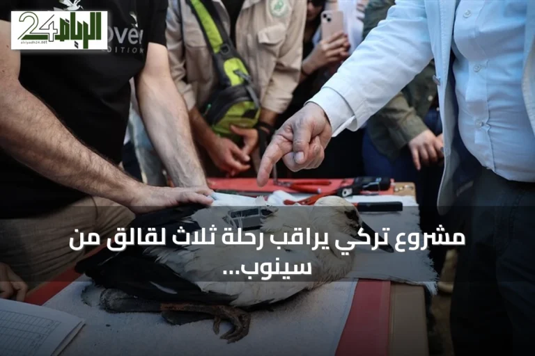 مشروع تركي يراقب رحلة ثلاث لقالق من سينوب إلى مصر وسوريا
