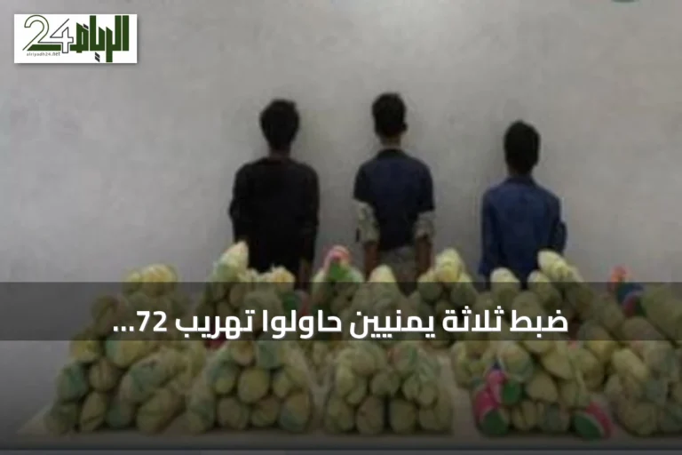 ضبط ثلاثة يمنيين حاولوا تهريب 72 كيلوجراماً من القات في قطاع الحرث بجازان