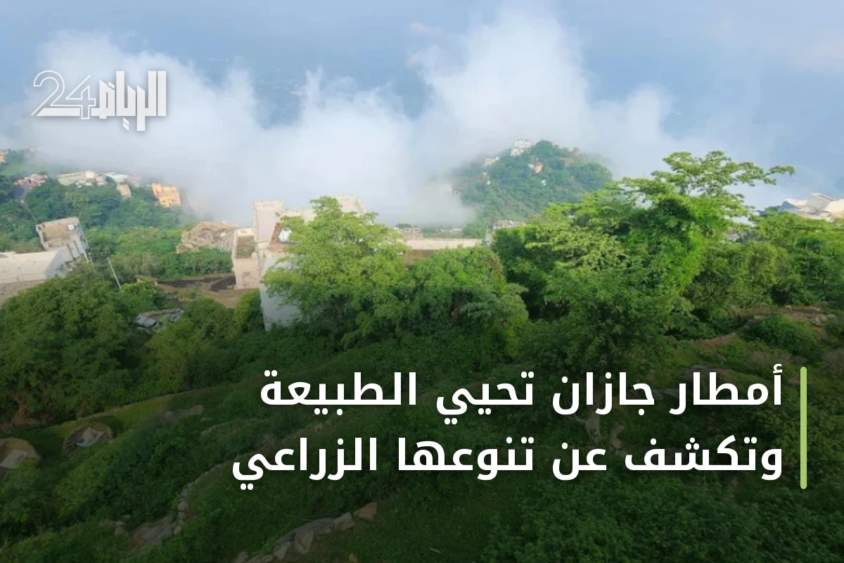 أمطار جازان تحيي الطبيعة وتكشف عن تنوعها الزراعي