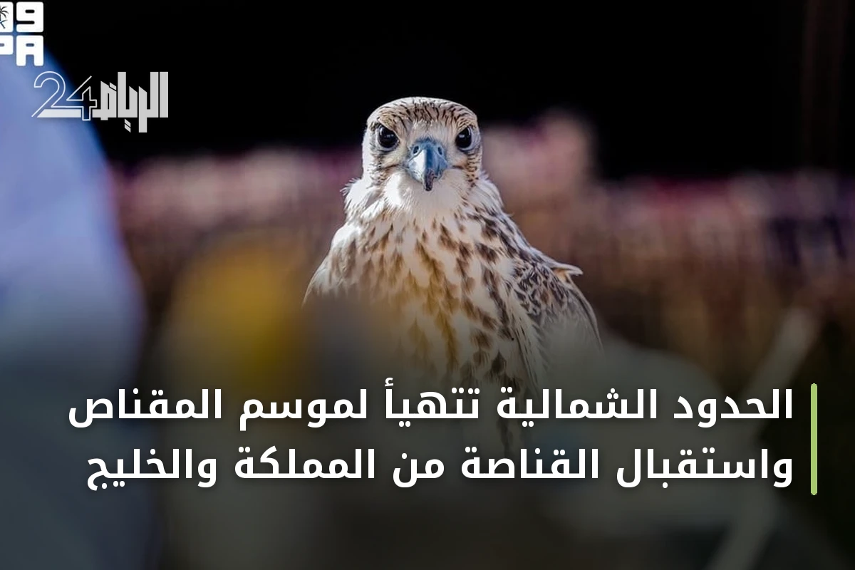 الحدود الشمالية تتهيأ لموسم المقناص واستقبال القناصة من المملكة والخليج