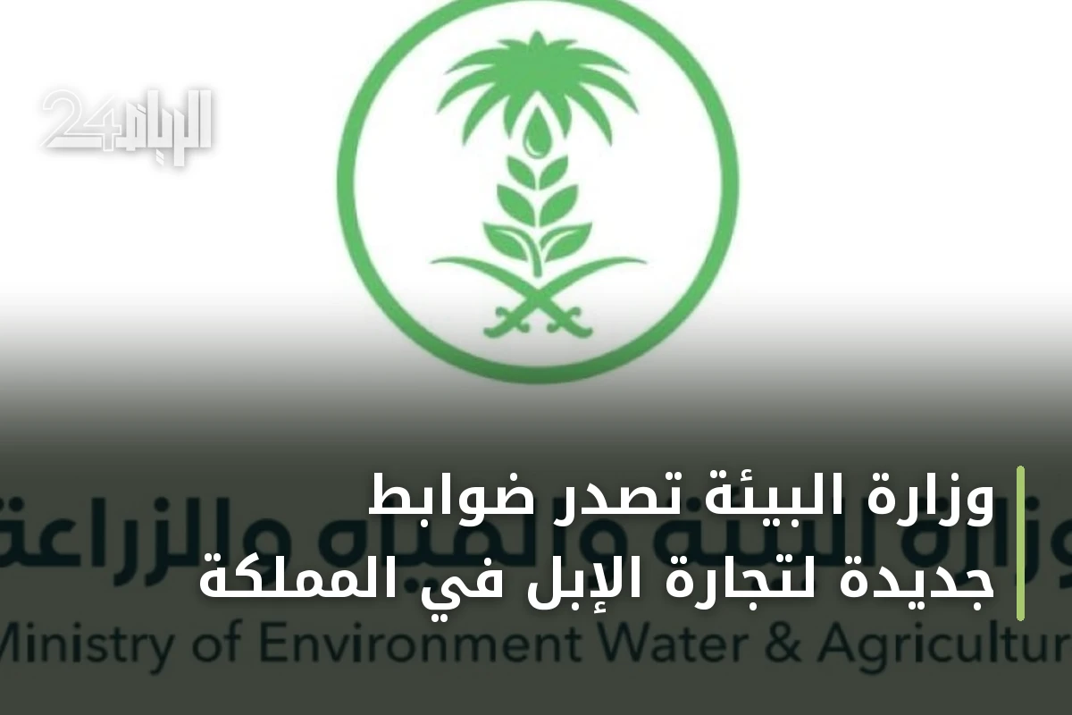 وزارة البيئة تُصدر ضوابط جديدة لتجارة الإبل في المملكة