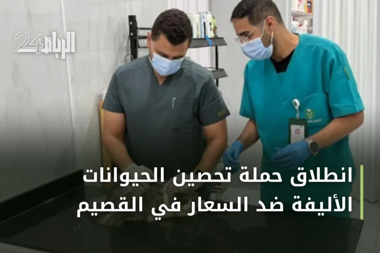 انطلاق حملة تحصين الحيوانات الأليفة ضد السعار في القصيم