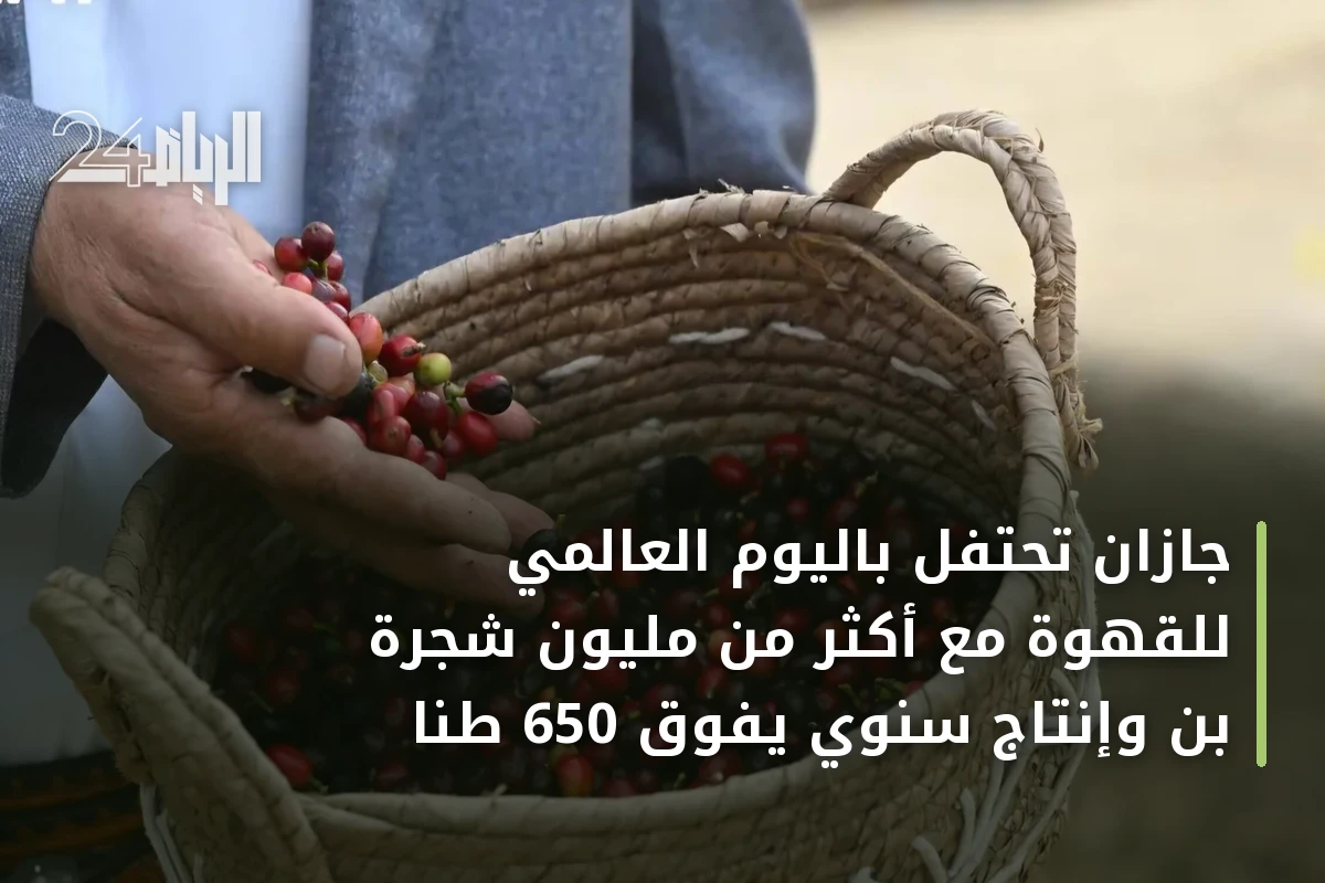 جازان تحتفل باليوم العالمي للقهوة مع أكثر من مليون شجرة بن وإنتاج سنوي يفوق 650 طنًا