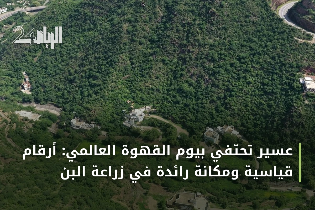 عسير تحتفي بيوم القهوة العالمي: أرقام قياسية ومكانة رائدة في زراعة البن