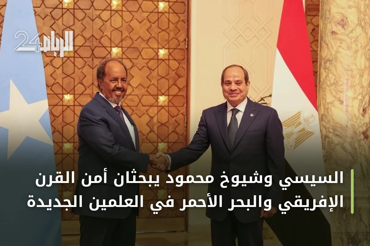 السيسي وشيوخ محمود يبحثان أمن القرن الإفريقي والبحر الأحمر في العلمين الجديدة