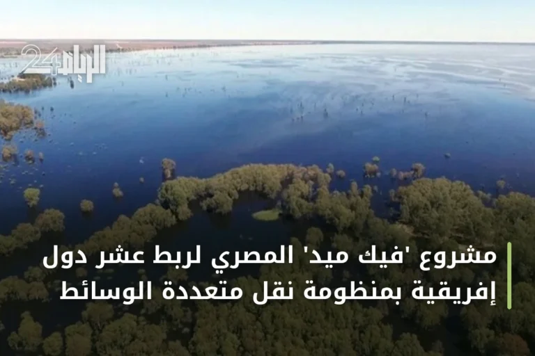 مشروع 'فيك ميد' المصري لربط عشر دول إفريقية بمنظومة نقل متعددة الوسائط