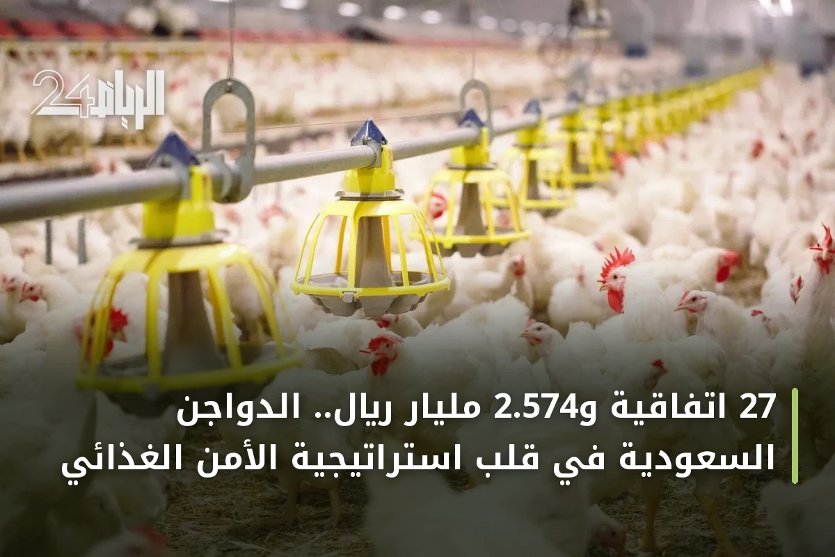 27 اتفاقية و2.574 مليار ريال.. الدواجن السعودية في قلب استراتيجية الأمن الغذائي