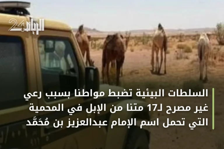 السلطات البيئية تضبط مواطنًا بسبب رعي غير مصرح لـ17 متنًا من الإبل في المحمية التي تحمل اسم الإمام عبدالعزيز بن محمد