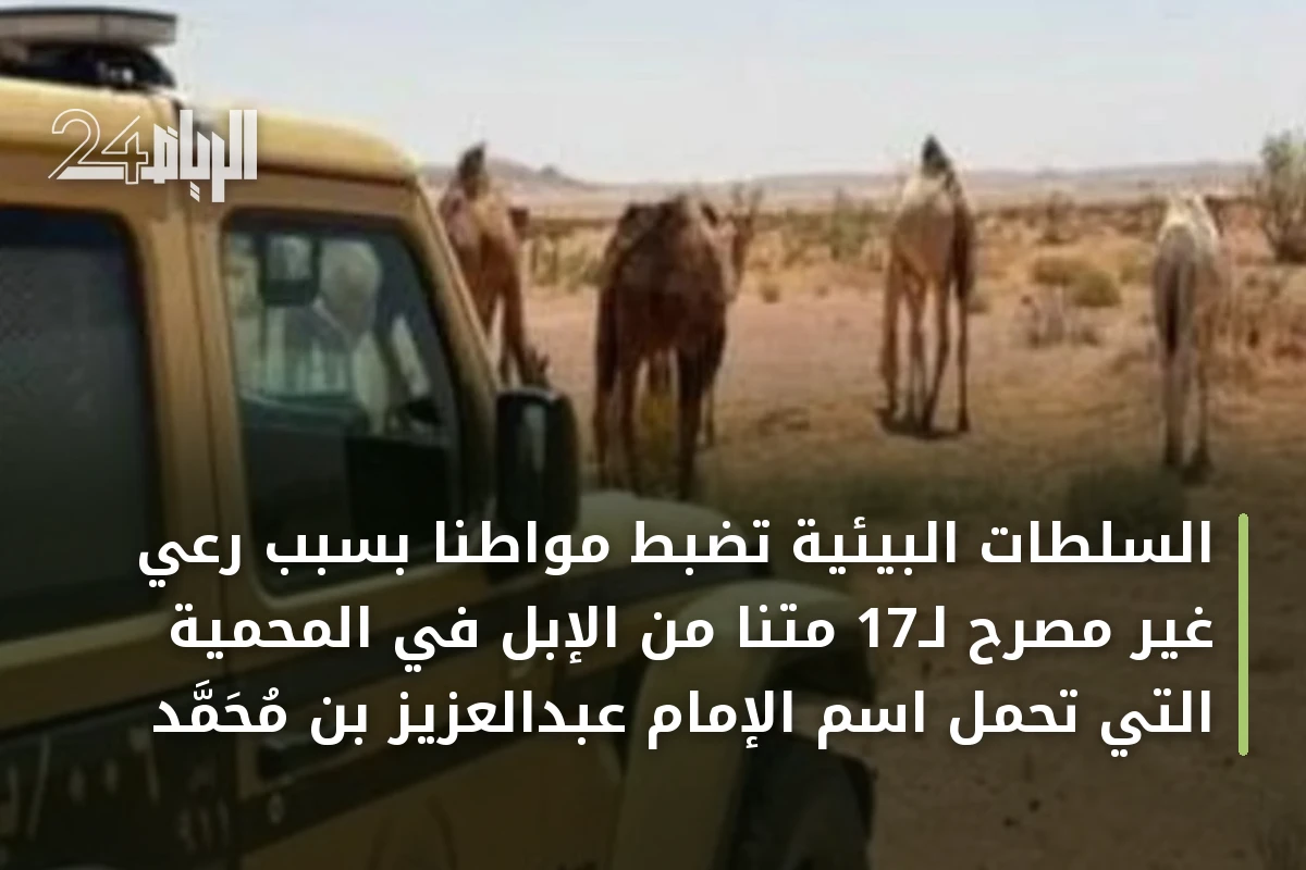 السلطات البيئية تضبط مواطنًا بسبب رعي غير مصرح لـ17 متنًا من الإبل في المحمية التي تحمل اسم الإمام عبدالعزيز بن محمد