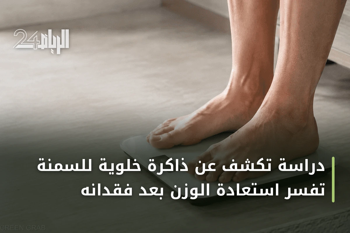 دراسة تكشف عن ذاكرة خلوية للسمنة تفسر استعادة الوزن بعد فقدانه