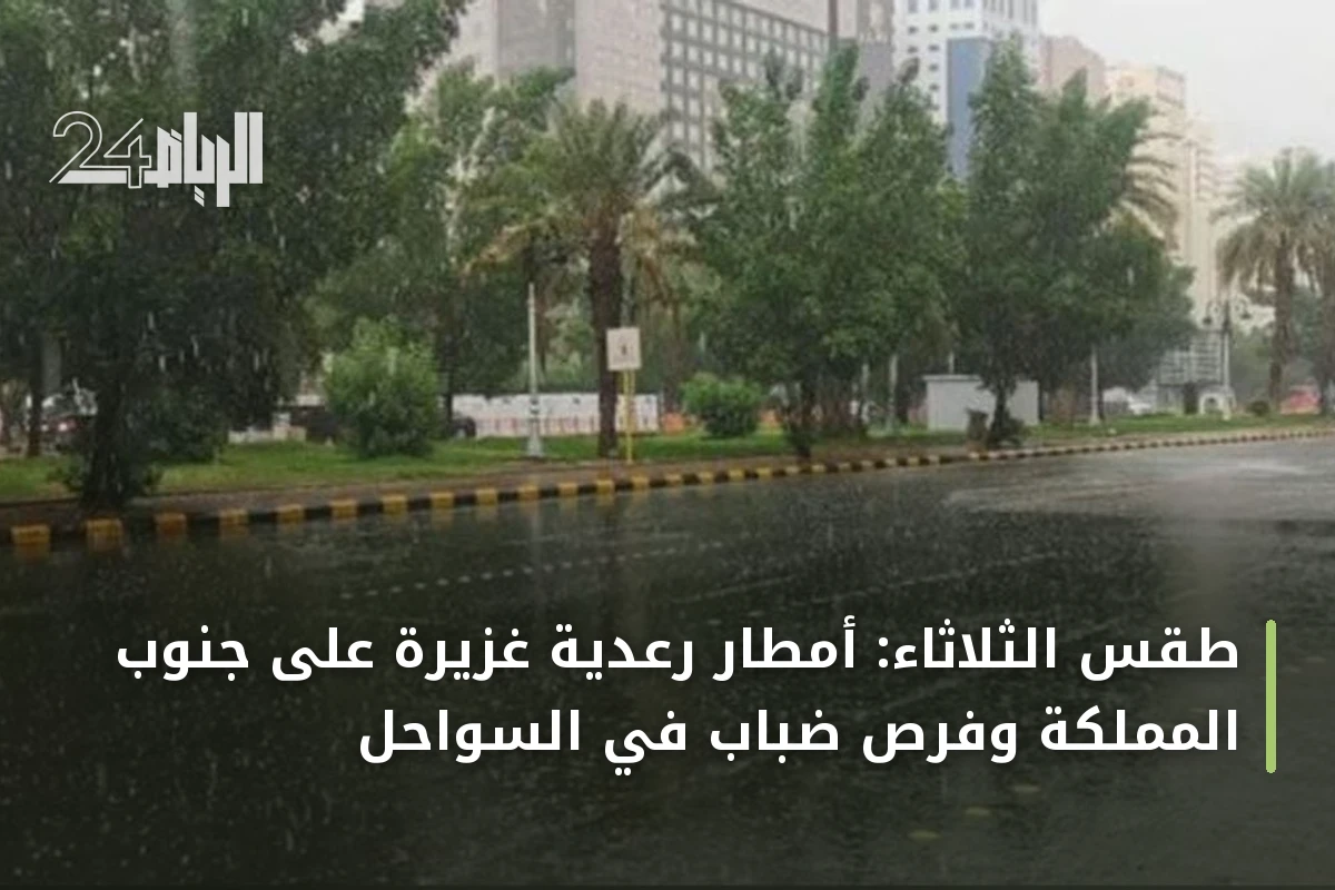 طقس الثلاثاء: أمطار رعدية غزيرة على جنوب المملكة وفرص ضباب في السواحل
