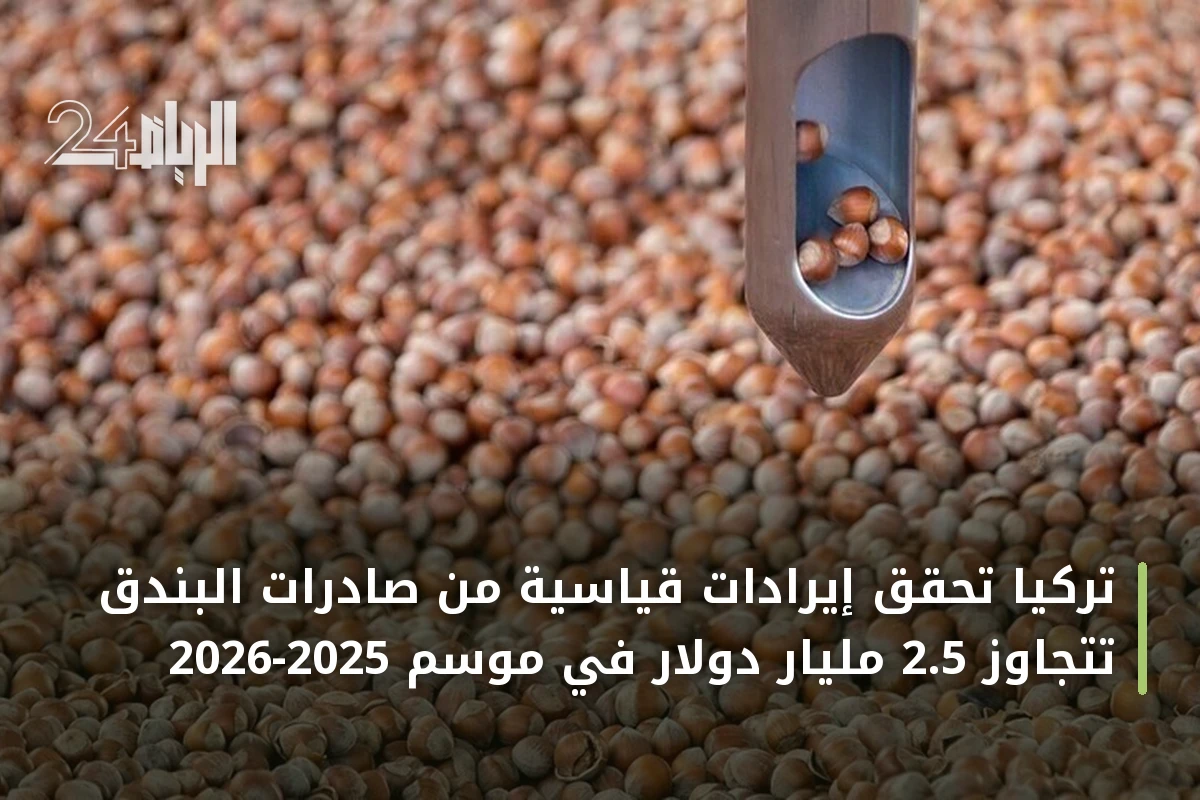 تركيا تحقق إيرادات قياسية من صادرات البندق تتجاوز 2.5 مليار دولار في موسم 2025-2026