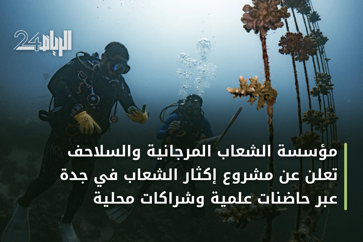 مؤسسة الشعاب المرجانية والسلاحف تعلن عن مشروع إكثار الشعاب في جدة عبر حاضنات علمية وشراكات محلية
