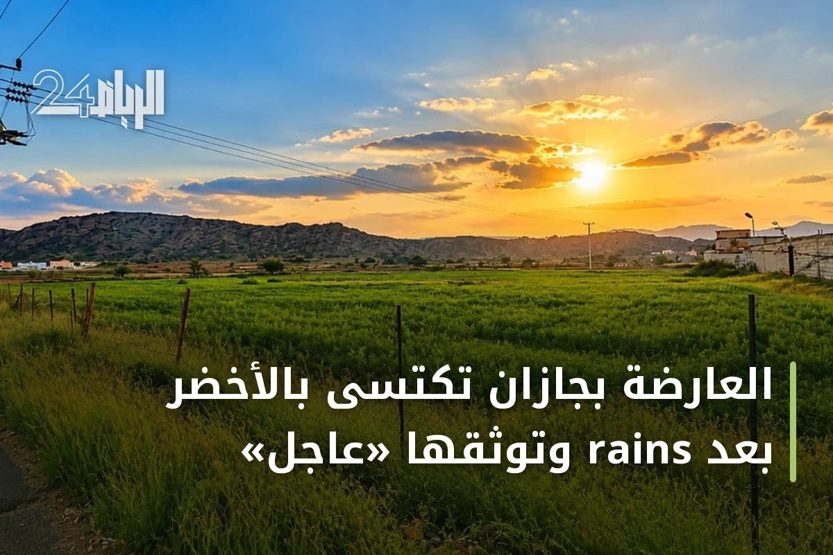 العارضة بجازان تكتسى بالأخضر بعد rains وتوثقها «عاجل»