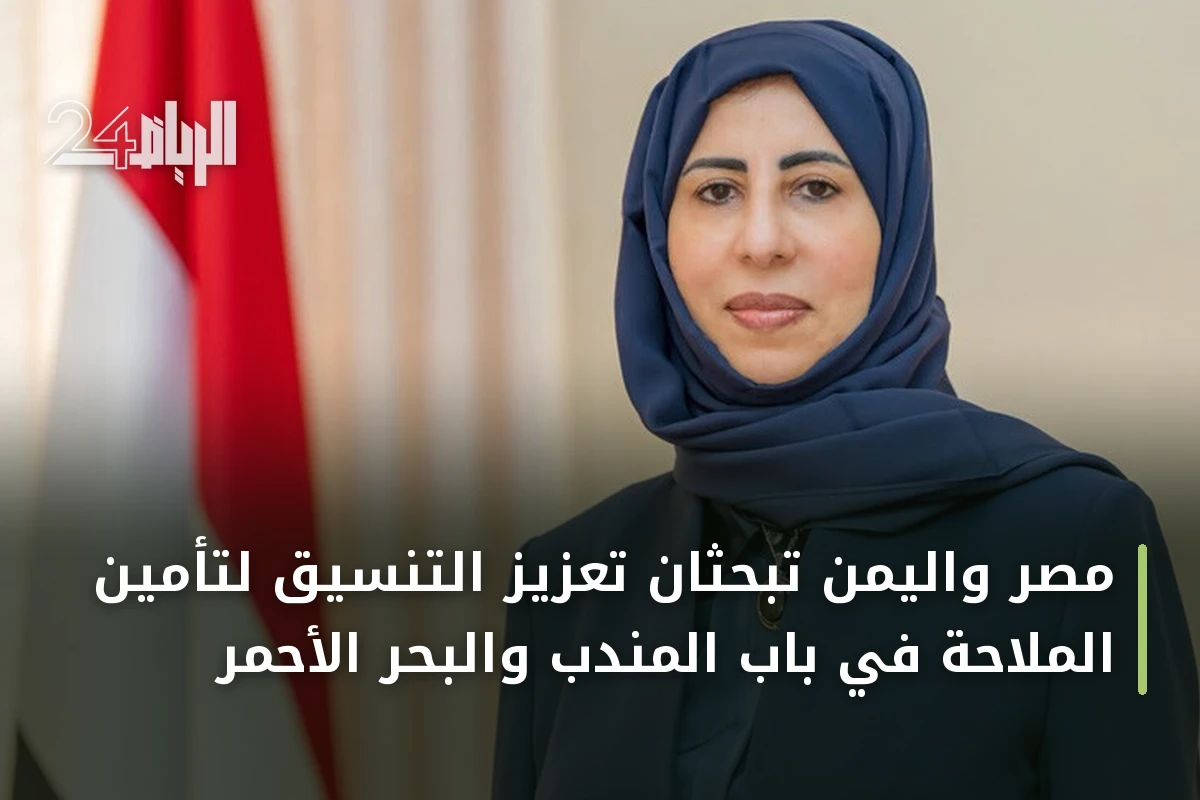 مصر واليمن تبحثان تعزيز التنسيق لتأمين الملاحة في باب المندب والبحر الأحمر