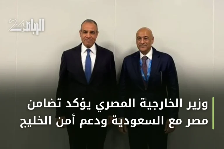وزير الخارجية المصري يؤكد تضامن مصر مع السعودية ودعم أمن الخليج