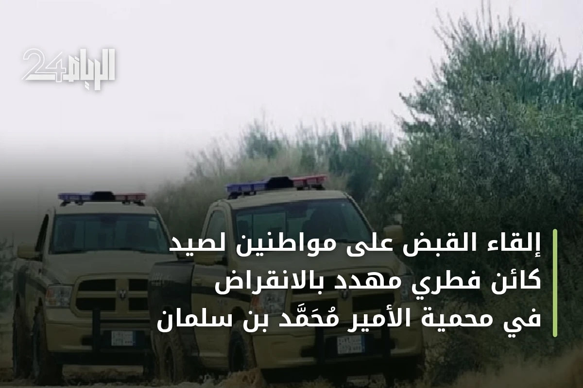 إلقاء القبض على مواطنين لصيد كائن فطري مهدد بالانقراض في محمية الأمير محمد بن سلمان