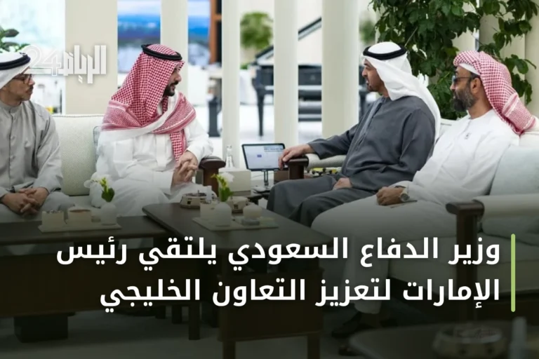 وزير الدفاع السعودي يلتقي رئيس الإمارات لتعزيز التعاون الخليجي